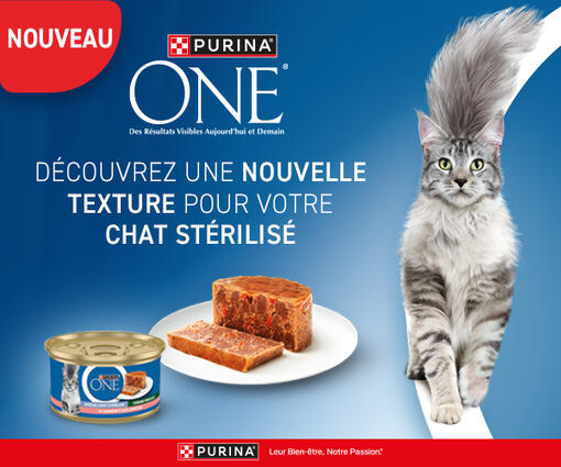 Terrines Purina® ONE®