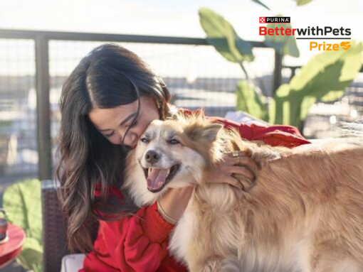 Prix Better with pets prize