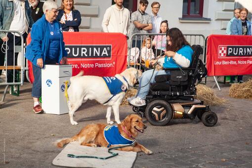 Evènement Super Chiens Purina et AAEAEA 