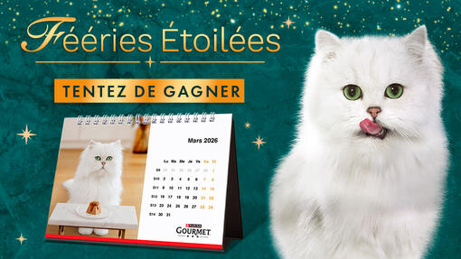 Tentez de gagner votre calendrier personnalisé