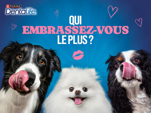 qui embrassez-vous le plus