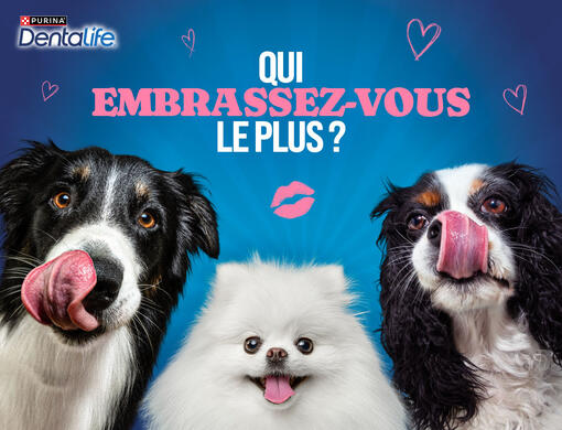 qui embrassez-vous le plus