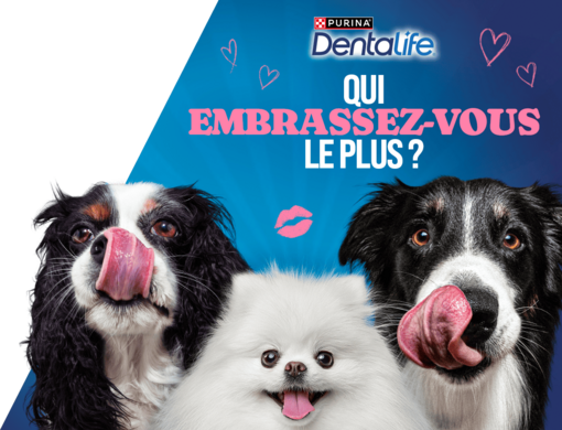 On est curieux de savoir…