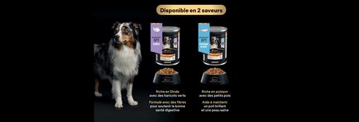 PRO PLAN® INNOVE POUR OFFRIR AUX CHIENS TOUJOURS PLUS DE PLAISIR