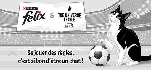 Felix Universe League