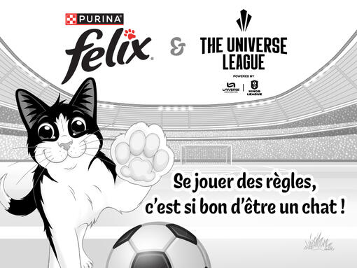 FELIX Universe League