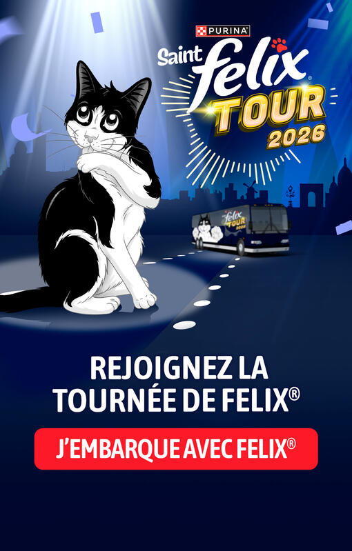 Felix Tour 2026