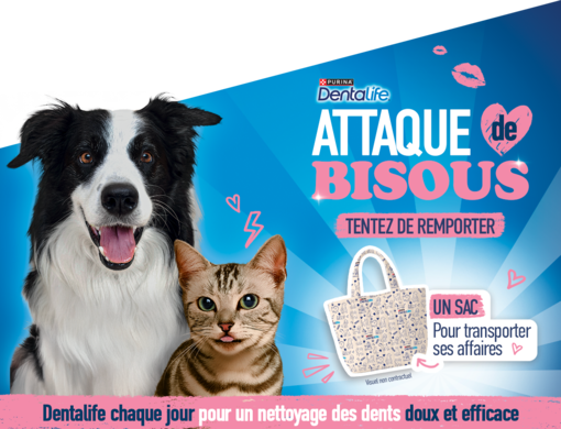 Vous partagez tout avec votre animal… même vos BISOUS !