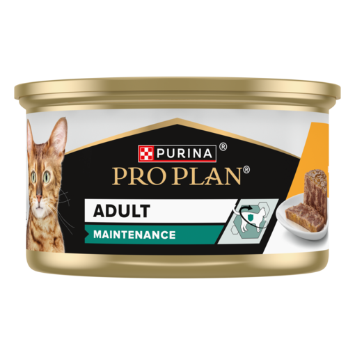 Pro Plan Adult Maintenance