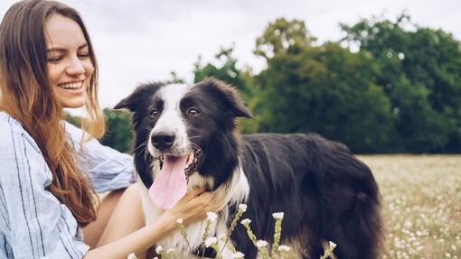 Complément alimentaire pour chien