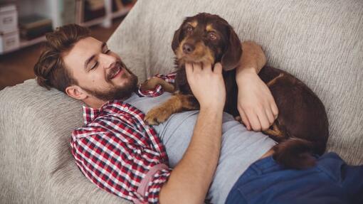 Complément alimentaire pour chien