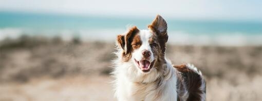 Bien démarrer : les bases d’une bonne mobilité