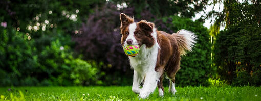 Poids & mouvement : l’équilibre essentiel