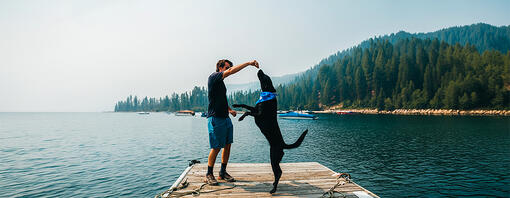 Le sport adapté avec son chien