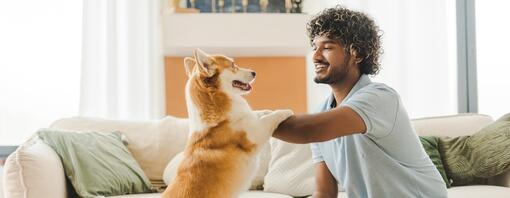 Comment montrer à son chien qu'on l'aime : le guide