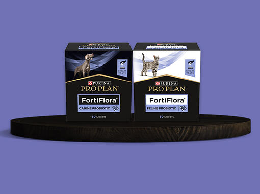 FORTIFLORA