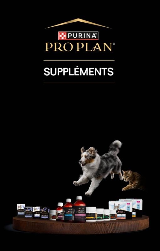 Pro plan suppléments