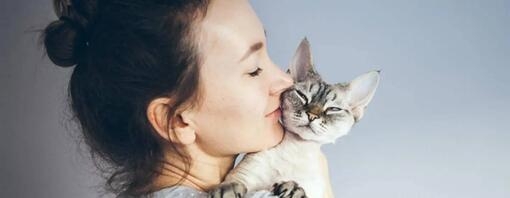 Prénom pour chat mâle : idées, conseils et inspirations pour bien choisir