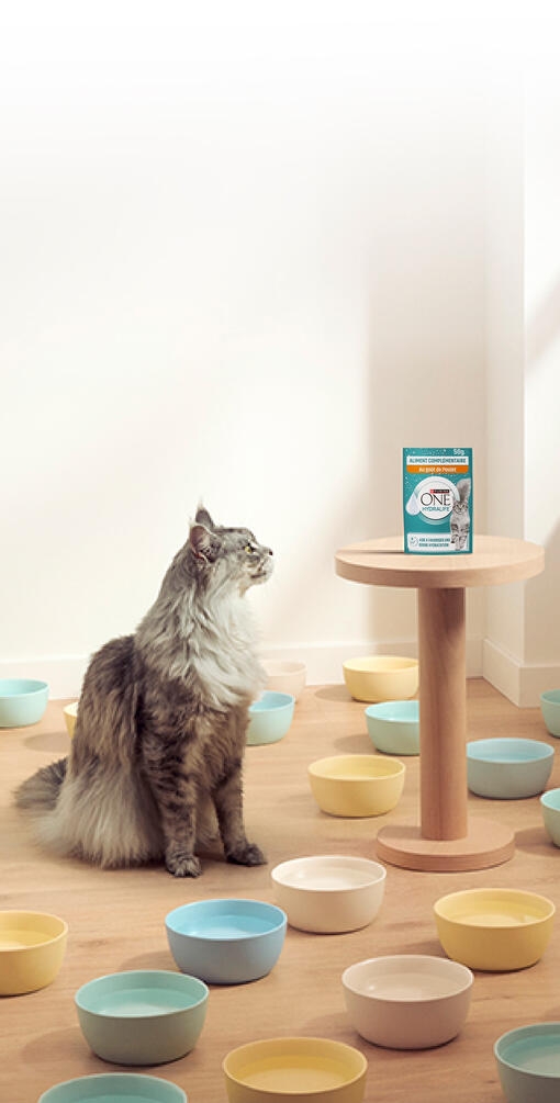 PURINA®ONE® Hydralife™