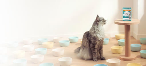 PURINA®ONE® Hydralife™