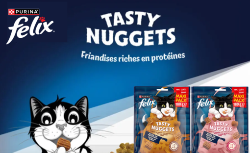 Tasty Nuggets Friandises