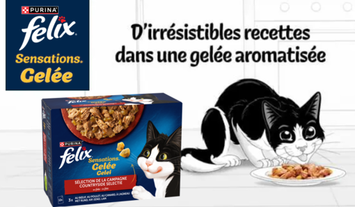 Sensations en Gelée