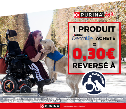 Carrefour x Handi’Chiens