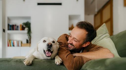 Idées d’anniversaire pour chien : célébrer le jour spécial de votre compagnon