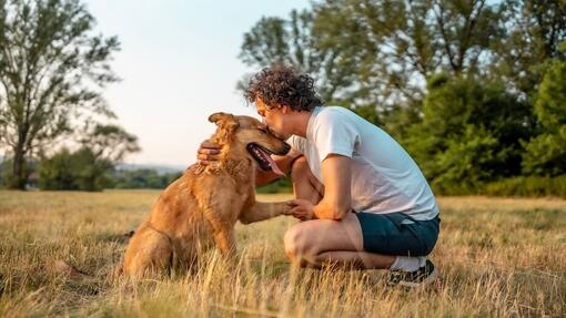 Comment choisir les bonnes friandises à mâcher pour votre chien