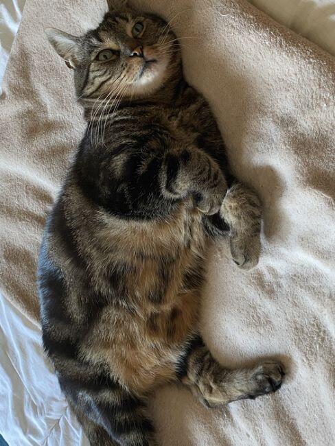 Mimi