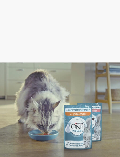 VOTRE CHAT BOIT-IL ASSEZ ?