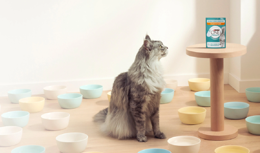 Purina ONE Chat
