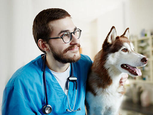 ANIMAUX DE COMPAGNIE