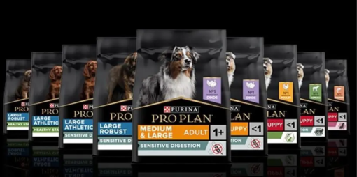 Pro Plan chien