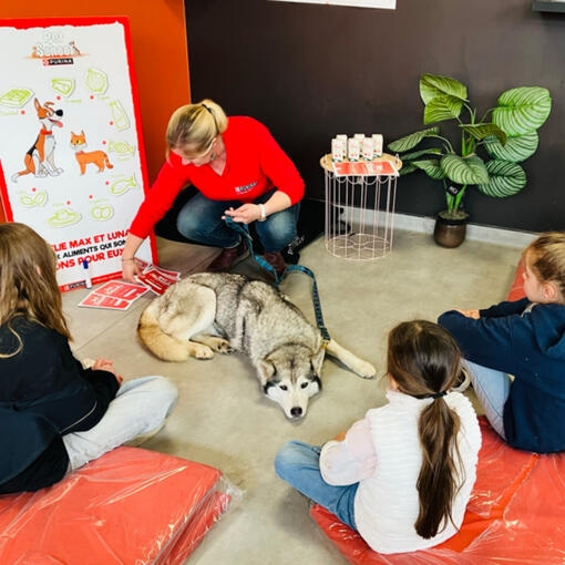 Ateliers Pet School en magasin