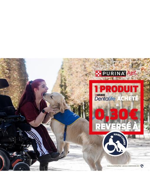 Aidez-nous à faire plus pour HANDI'CHIENS !