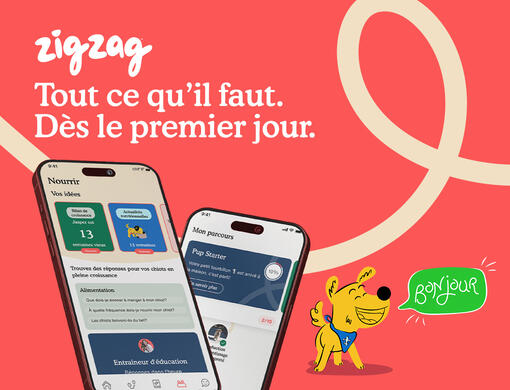 PURINA ZIGZAG MOBILE BANNER