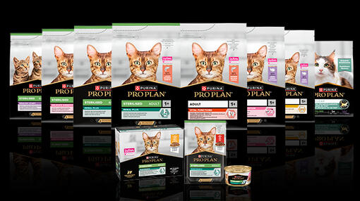 Découvrez PRO PLAN® CHAT