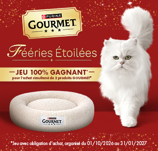 Fééries étoilées 2026