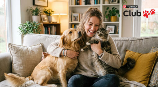 Purina club