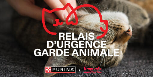 Bénéficiez d'une garde animale solidaire en cas d'urgence