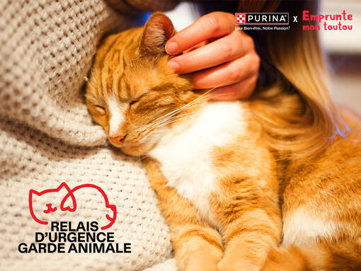 Relais d’Urgence Garde Animale