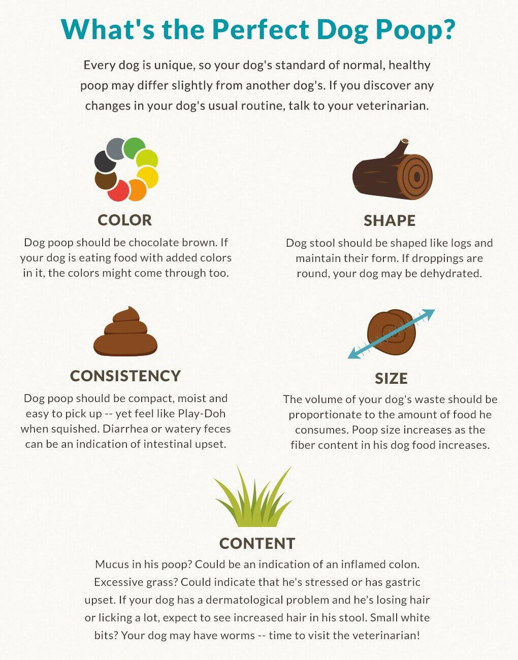 Infographie de merde de chien parfait Infographie de merde de chien parfait