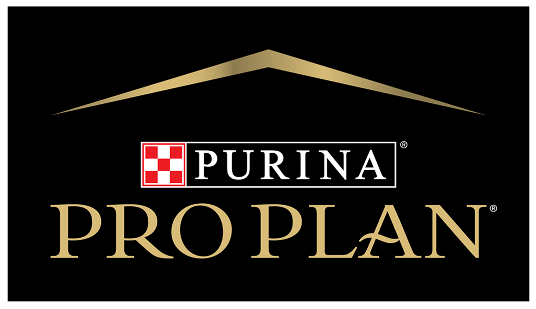 Pro Plan logo - Cloned Pro Plan logo