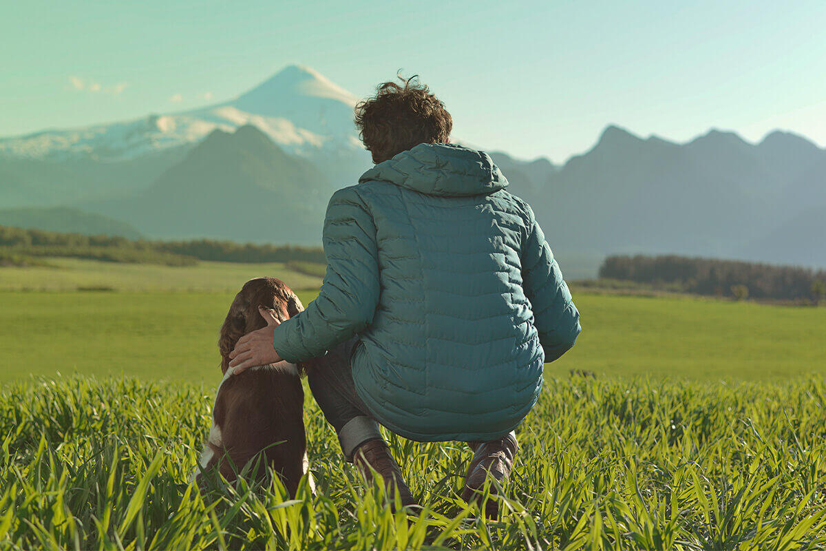 Chien et homme regardent la montagne Chien et homme regardent la montagne