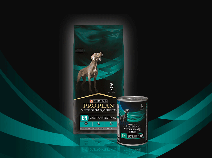 Pro Plan Veterinary Diets EN Gastrointestinal Pro Plan Veterinary Diets EN Gastrointestinal