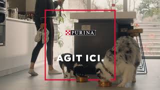 Purina Agit ici et là – Innover pour favoriser la santé et le bien-être des animaux 15s