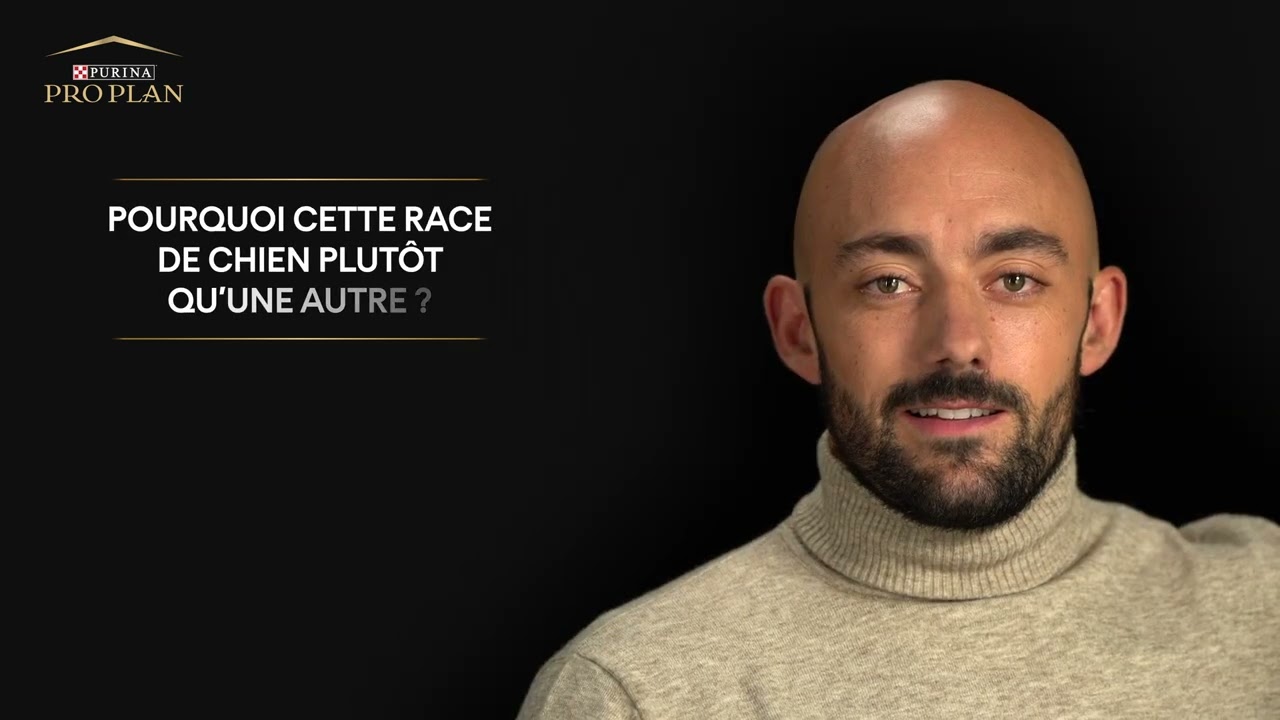 Secrets de champions de Florent Fourticq et Peps