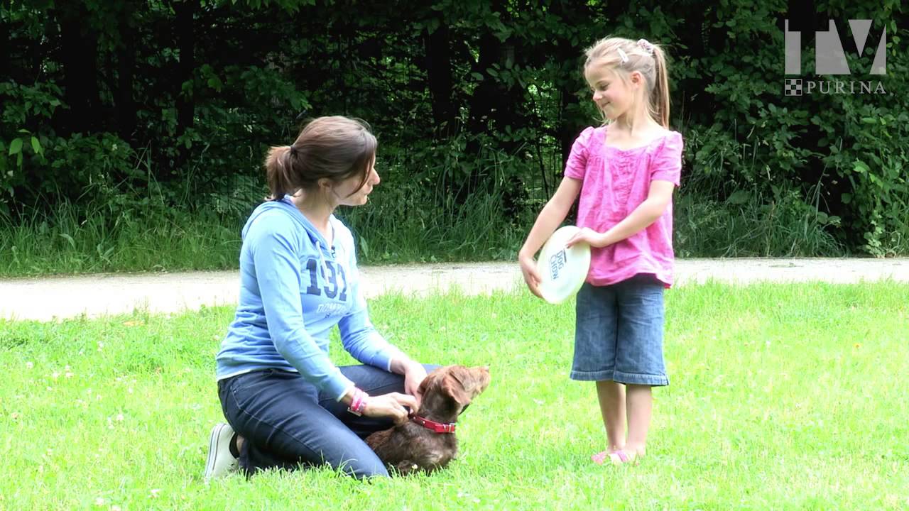 Amuse-toi dehors avec ton chien