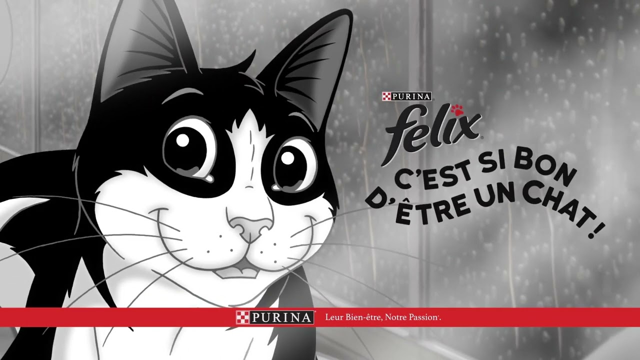 FELIX® C’est si bon d’être un chat – Temps de pluie - YouTube